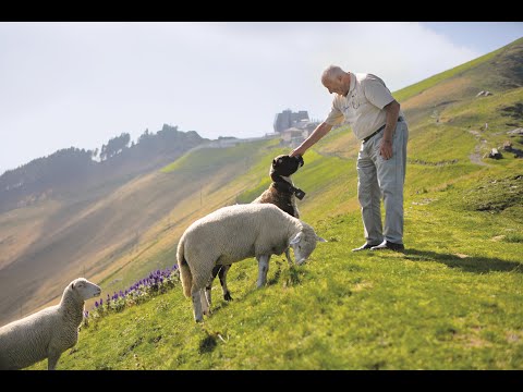 Monte Generoso: dove le pecore prevedono il tempo | Ticino, Svizzera