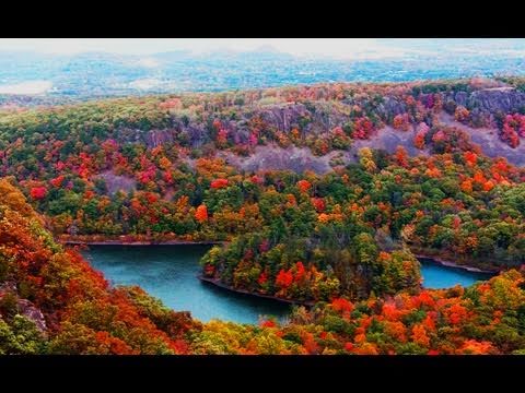 Autumn Symphony - Relaxing Fall Foliage with Soothing Piano Music