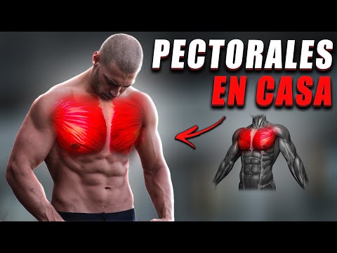 Se pondrán Más Grandes que los de tu Novia! Ejercicios Pectorales 15 minutos sin Equipo