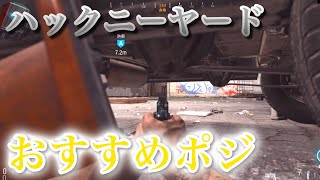 知ってると戦況を有利に変えられる強ポ紹介⁉-HackneyYard-【CoD:MW】