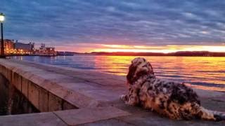 José Luis Perales - Calma