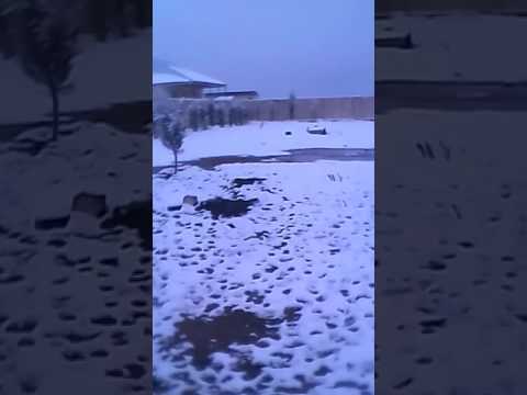 11 февраля 2017 г.