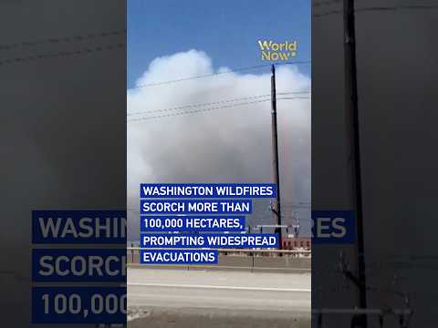 Washington wildfires scorch more than 100,000 hectares, prompting widespread evacuations #WorldNow