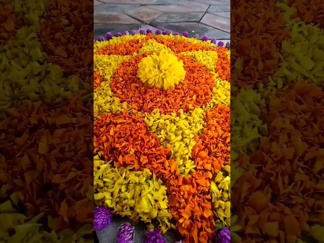 Onam pookalam design using marigold flowers by Poonam Borkar - video 2