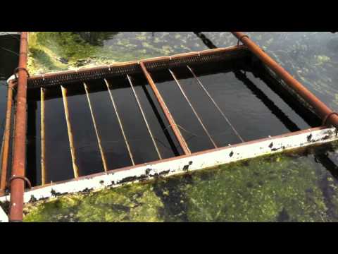 RZ vattenrening 20110518