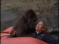 A Kiss From A Gorilla George Of The Jungle