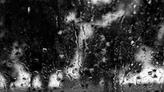 Whitney Houston-Salute