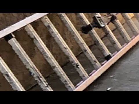 Tommy gunz x politics- “Troubles to Hoovers” my reaction