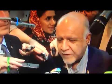 Iranian Minister Bijan Namdar Zanganeh