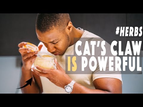 4 BENEFITS OF CAT'S CLAW | Powerful Herb!
