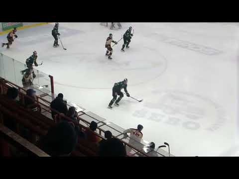 38. kolo HK TAM Levice - HK Žiar nad Hronom 2:5 (HIGHLIGHTY)