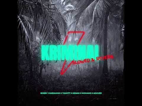 Bobby Vandamme x Tano77 x Kenan x Mohams x Adaver - Kriminal [Slowed + Reverb] | SLOWVERB