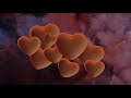 Sam Feldt & Sam Fischer - Pick Me Up Sam Feldt & Sam Fischer - Pick Me Up
