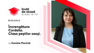   "Încrengătura Cordata. Clasa peștilor osoși"