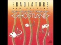 The RADIATORS - Hardcore  '89