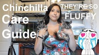 Chinchilla Care Guide // Cage Set Up &amp; Feeding