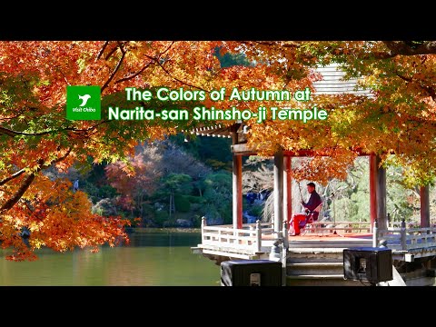 The Colors of Autumn at Narita-san Shinsho-ji Temple