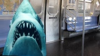 Sharks on a TRAIN! New York subway shark had nude iPhone pics