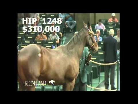 Keeneland September 2015 / Ghostzapper–Dream