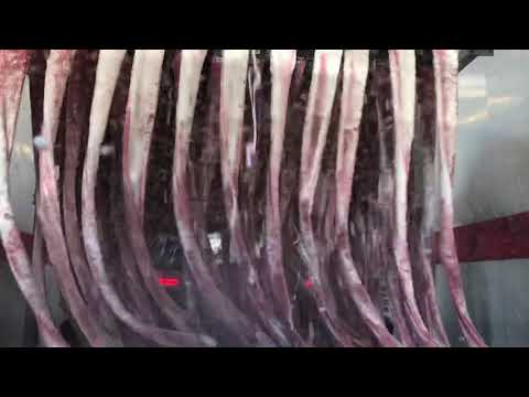 Scrubadub Carwash Woburn Ma