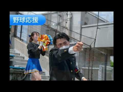 【#城西大学】城西大學全學應援團紹介動画　#城西大學全學應援團　#リーダー部　#チアリーダー部　#新入生