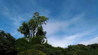 飛瀑雲霧