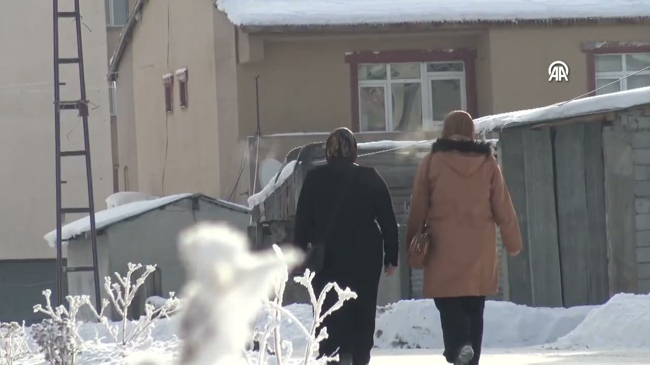 Sulak alanlar buzla kaplandı, tüm şehir kırağıya teslim oldu