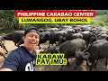 Carabao Milking Process | Philippine Carabao Center