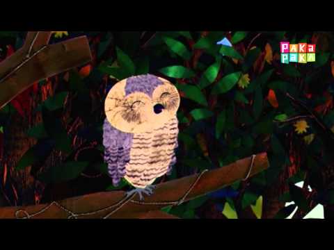 Animapaka I: Búho (Cap. 5) - Canal Pakapaka