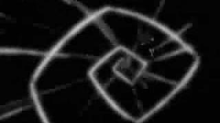 Raven and Beastboy Halo