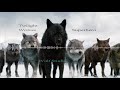 Twilight Wolves Superhero
