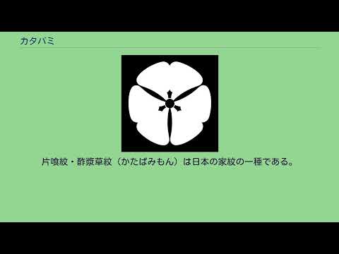 スイバ、カタバミ