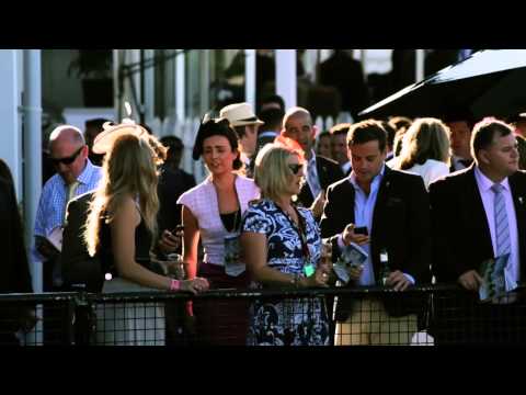 Auckland Cup Week 2014 - The best on show!