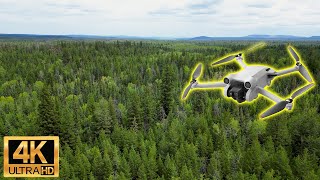 Interior Douglas-Fir Forest - 4K Drone Flythrough