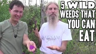 5 Wild Weed Foods that You Can Eat