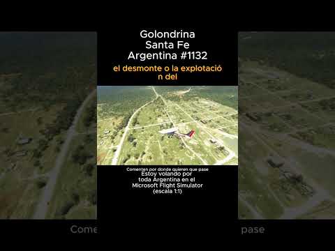 Golondrina, Santa Fe desde el Microsoft Flight Simulator #golondrina #santafe #msfs #argentina