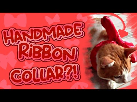 Diy collar with ribbon 🎀 Marz tela 9 journey