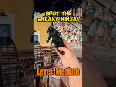 What's up Buoy! #SneakyNinja #HiddenObject #Challenge #PuzzleGame #NinjaHunt #BrainTeaser #Halifax