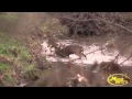 GREATEST BUCK FIGHT OF ALL TIME