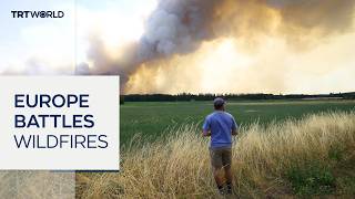 Europe's heatwave last month killed 10,000 as wildfires force mass evacuations near Paris