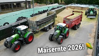 Maisernte Start 2026 🌽 mit dem LU LTD Hölscher! Maishäckseln mit Fendt