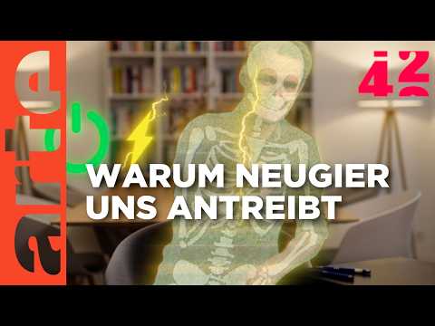 Sind wir zu neugierig? | 42 - Die Antwort auf fast alles | ARTE