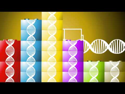 image-What is sysynthetic genomics?