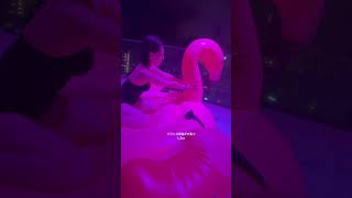 #ナイトプール　#水着　#渋谷　#ニューハーフ　#男の娘　#夜