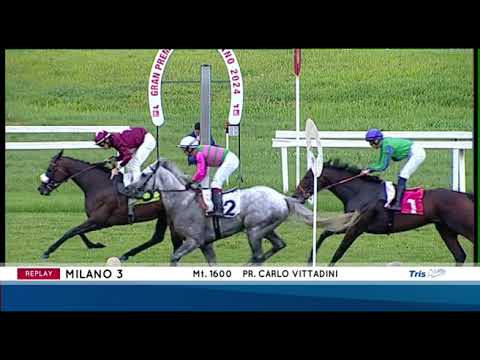 Premio Carlo Vittadini - Gruppe 3