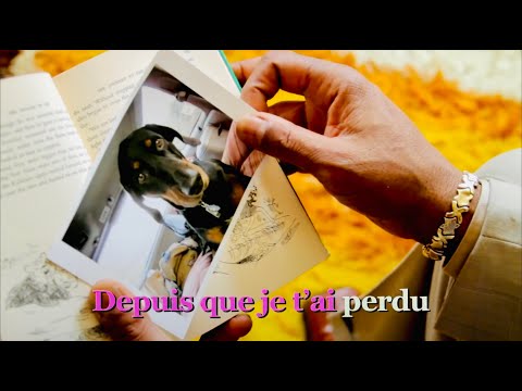 Où Est Ma Tête - Pink Martini