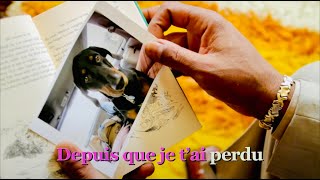 Oú est ma tête? - Pink Martini | Official Music Video - Second Place Video Contest Winner