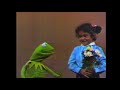 Sesame Street A Surprise For Kermit