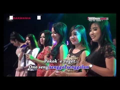 30 POKOKE JOGET   ALL ARTIST