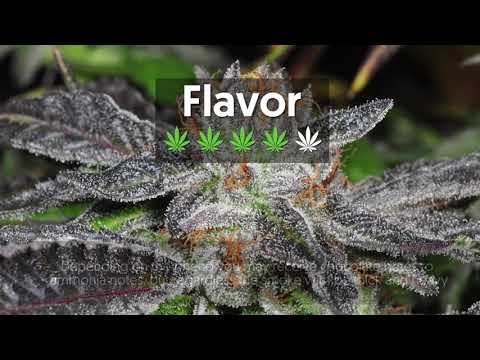 Strain Profile: Bubba Kush